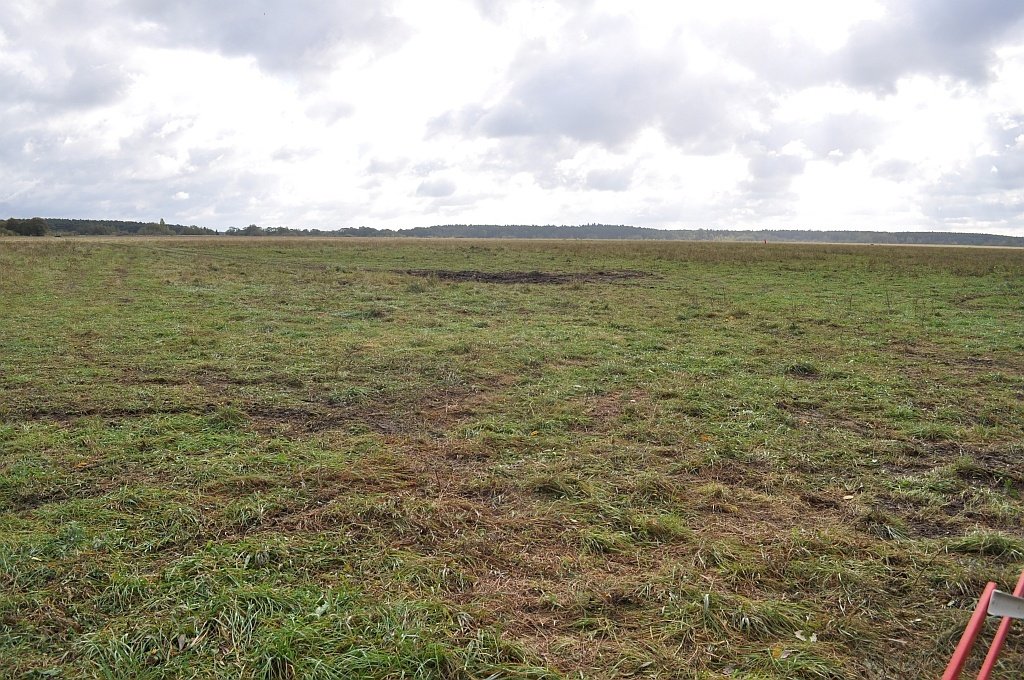 Open, gently rolling grassland running to a distant treeline under a heavy cloud layer.