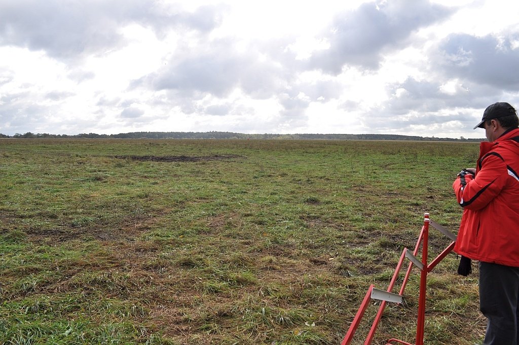 Flat open pasture under uniform grey cloud, with a distant line of low trees and no visible landmarks.