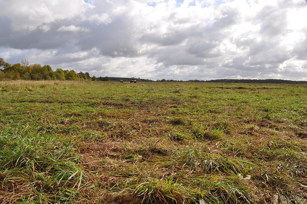 A wide expanse of rough grassland running to a low wooded horizon under broken cloud.