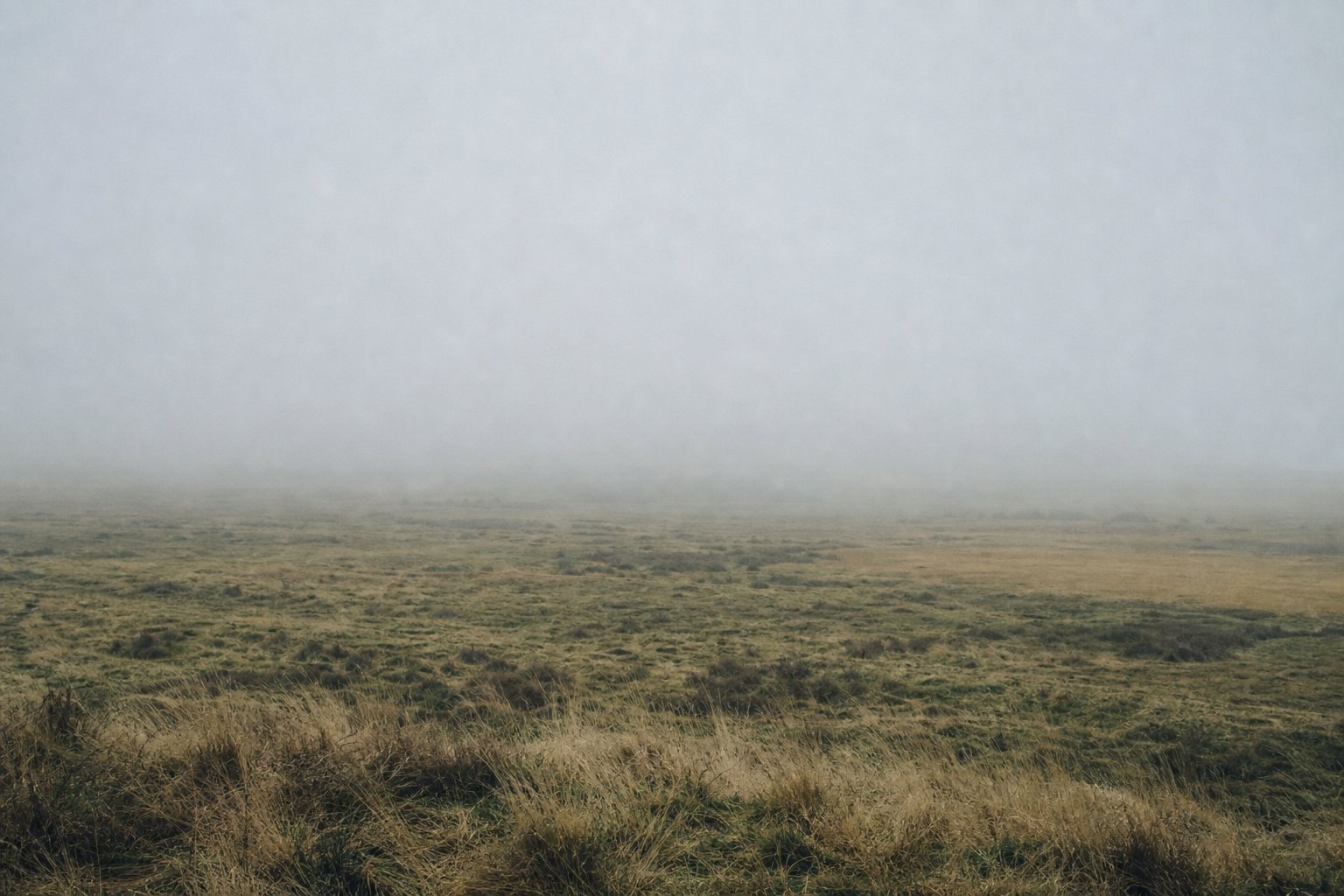 A bank of fog lying across low open fields with the far distance completely lost.