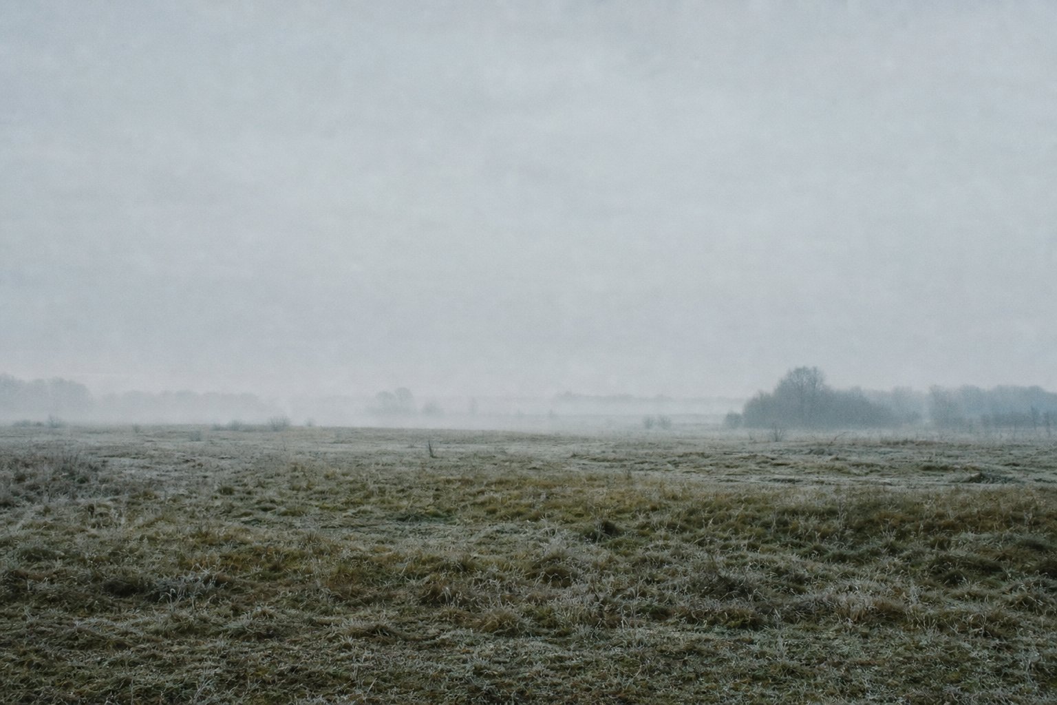 A frosted open field just after sunrise with thin ground mist and almost no tonal separation.