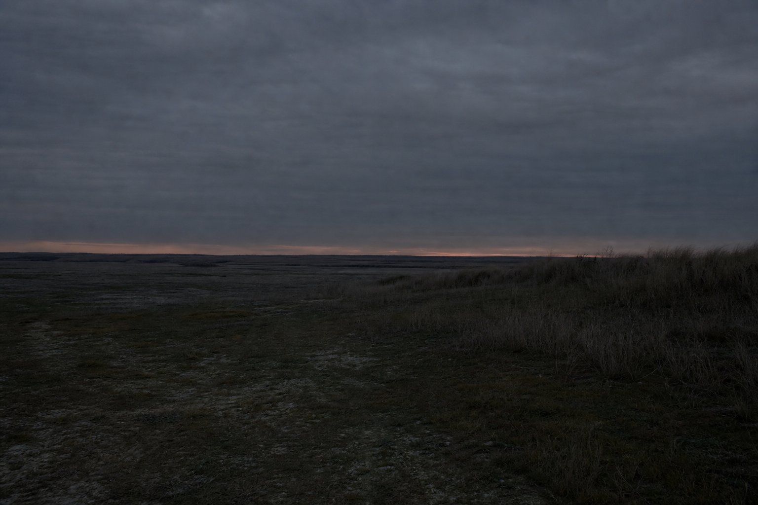 An open field at deep dusk, almost monochrome, with a faint glow along the horizon and no artificial light.