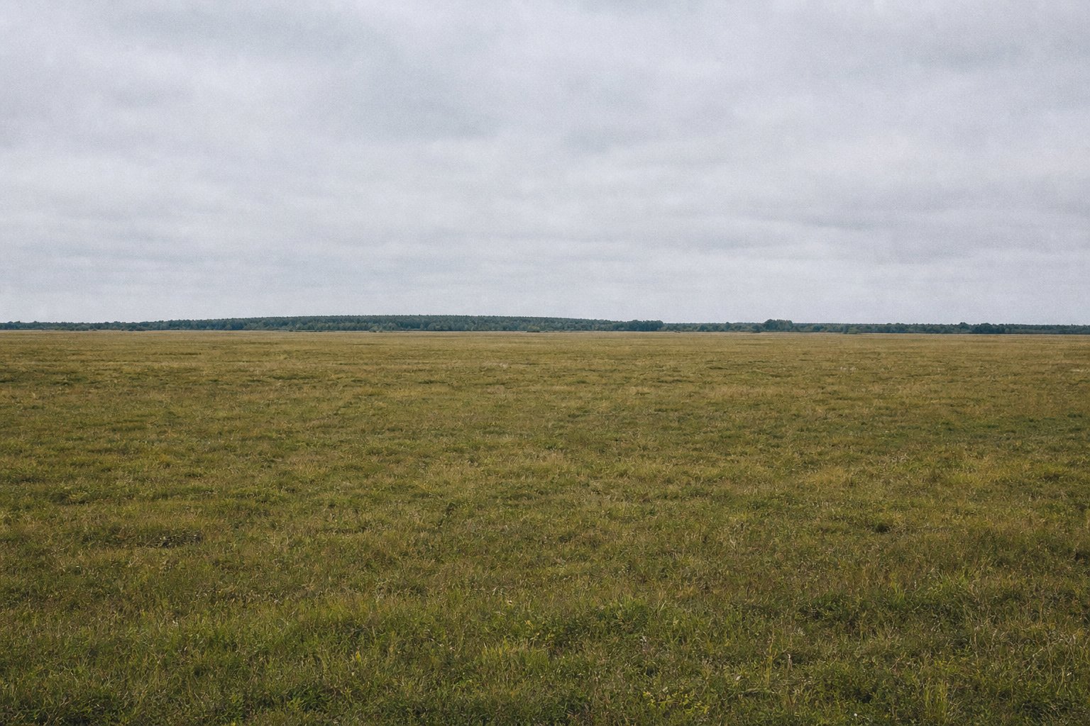 Flat open grassland running unbroken to a distant treeline under even grey light.