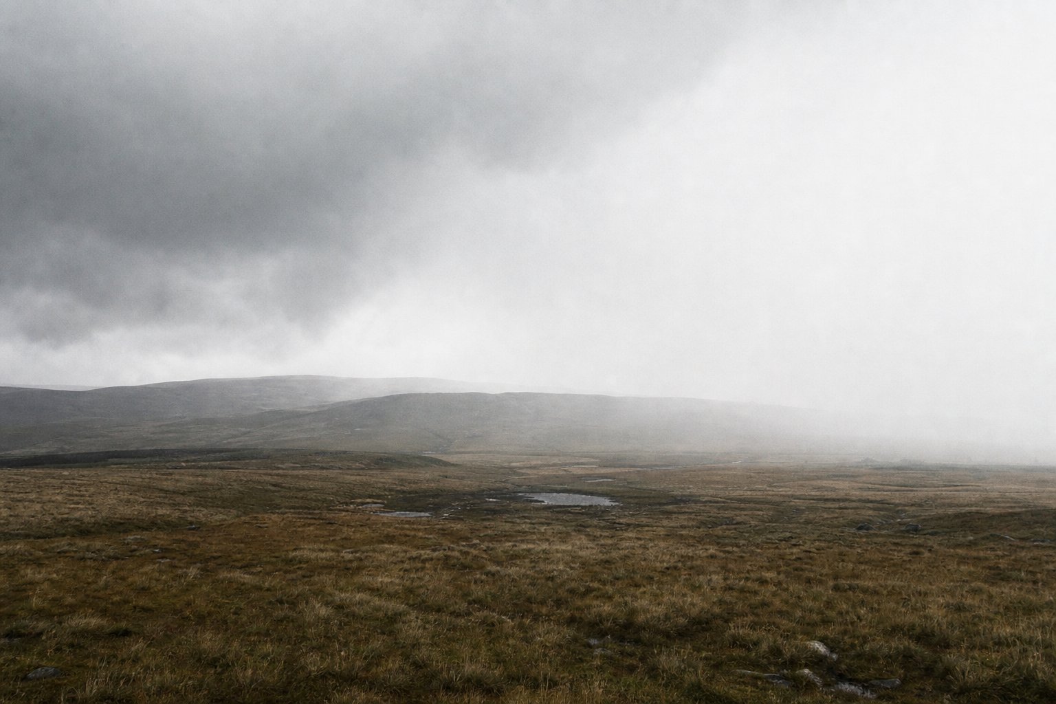 Heavy rain crossing open country, washing out the far half of the view.