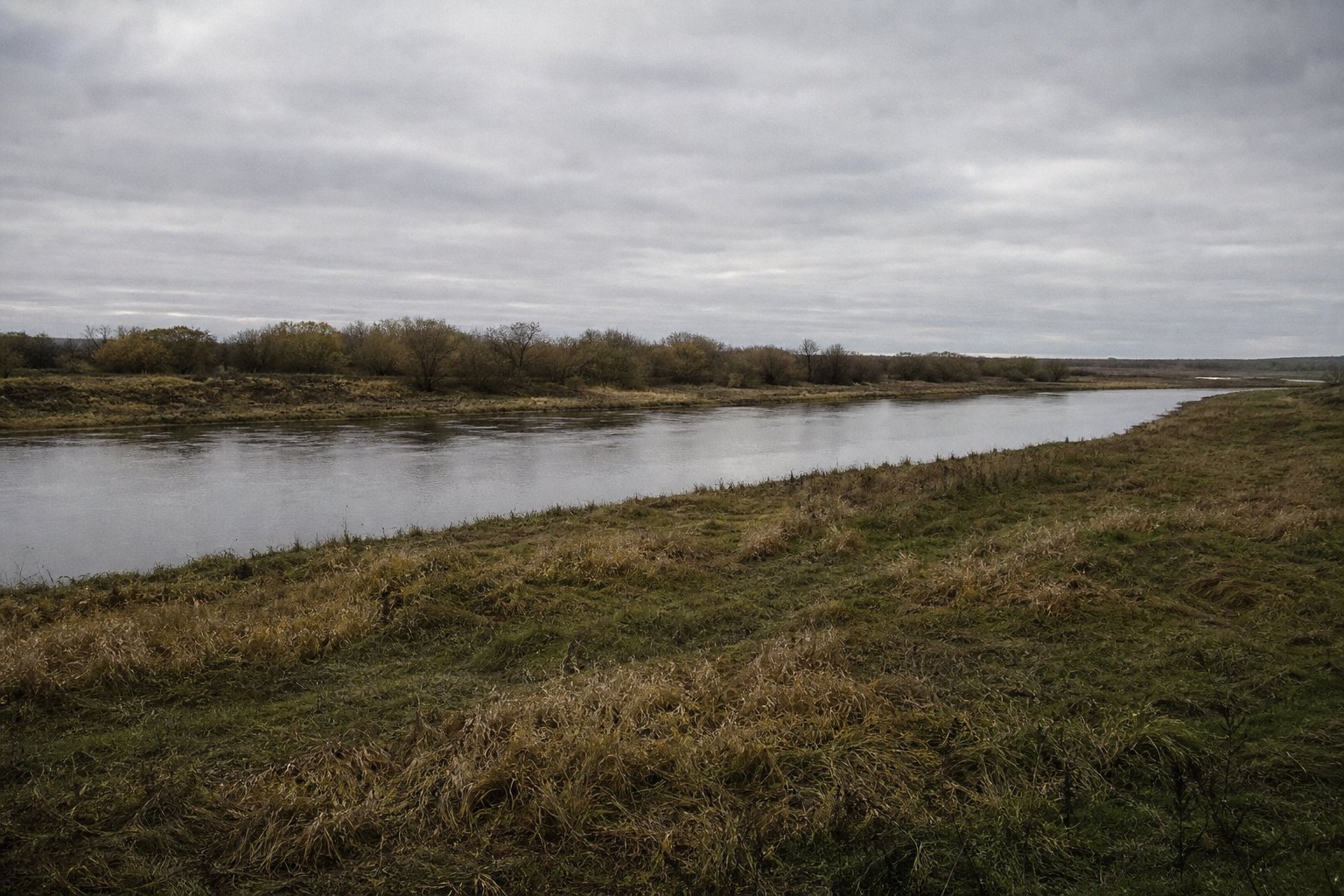 A slow river crossing flat country with low banks and willow scrub on the far side.