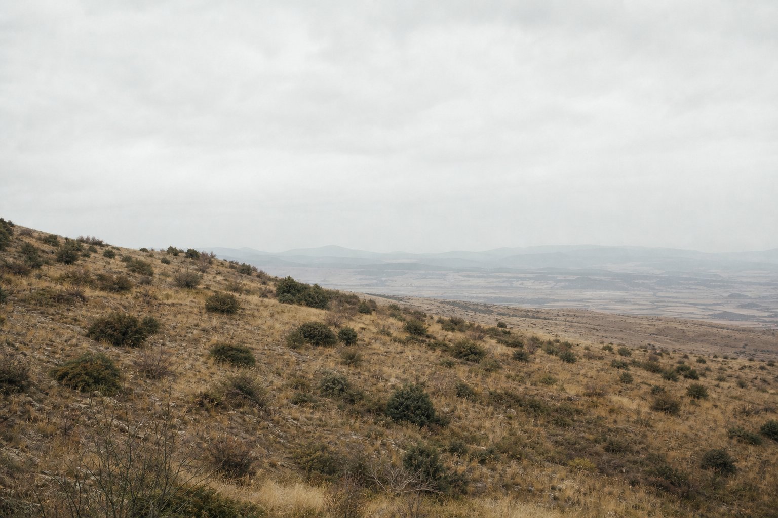 A long scrubby slope of low thorn and dry grass with heat haze softening the distance.