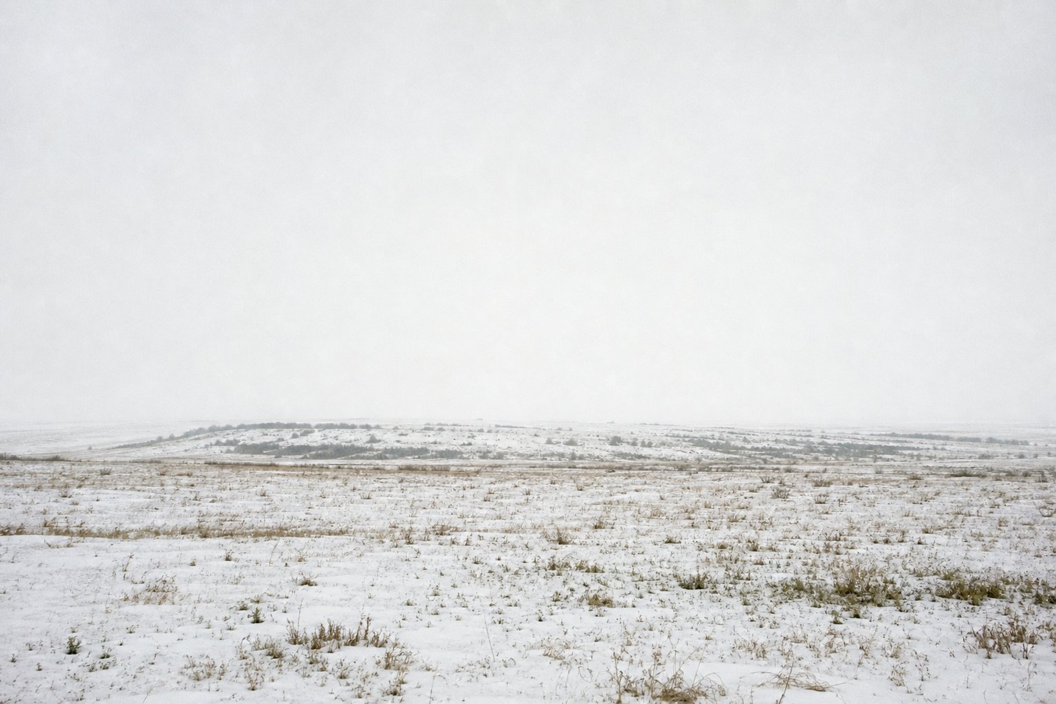 A snow-covered plain under flat white cloud with almost no tonal separation between ground and sky.