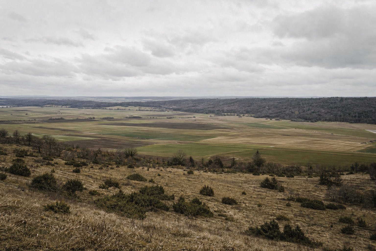 A broad shallow valley seen from its rim, farmland on the floor and woodland on the far side.